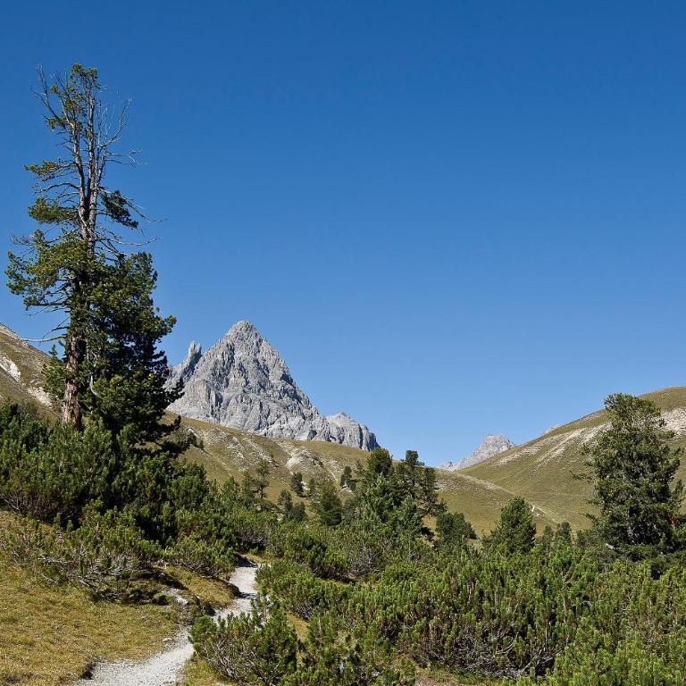 Panorama Lodge - Apartment mit Blick auf die Berge - 23