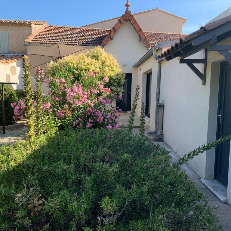 Petite maison avec cour près du centre - Maison 2 Chambres - 5