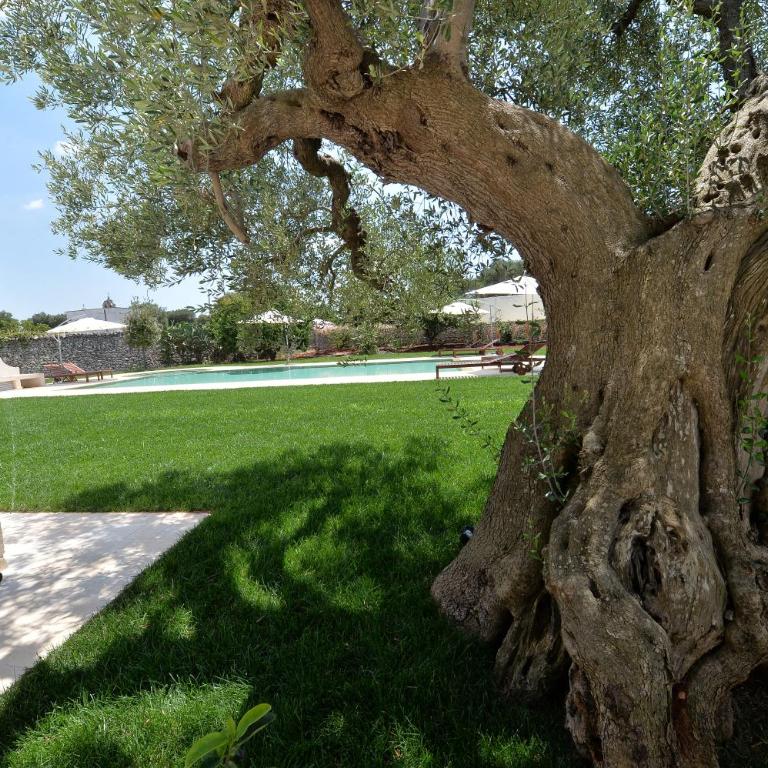Masseria Il Mandorlo Fiorito con piscina - Superior Villa - 46