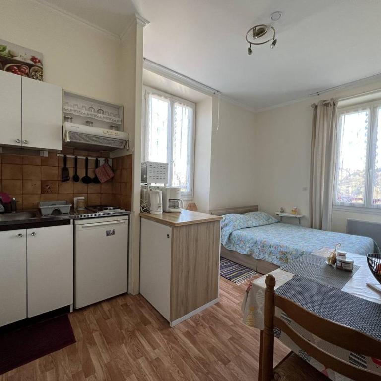 Studio lumineux à Cambo-les-Bains, proche thermes, coin nuit, kitchenette, internet, animaux acceptés - Studio - 2