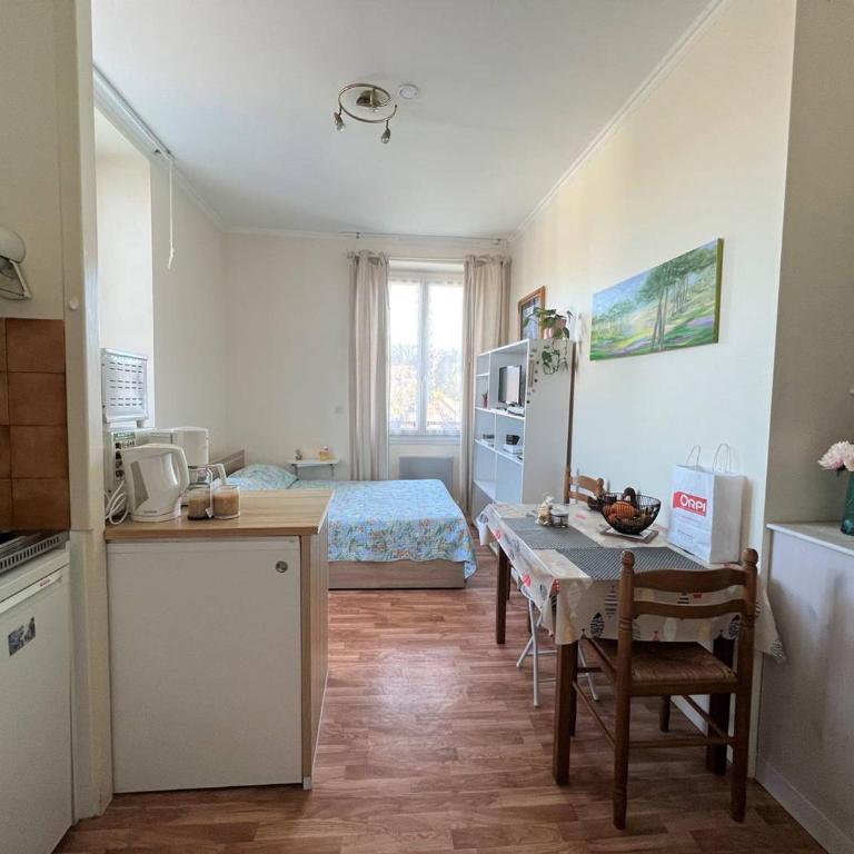 Studio lumineux à Cambo-les-Bains, proche thermes, coin nuit, kitchenette, internet, animaux acceptés - Studio - 3