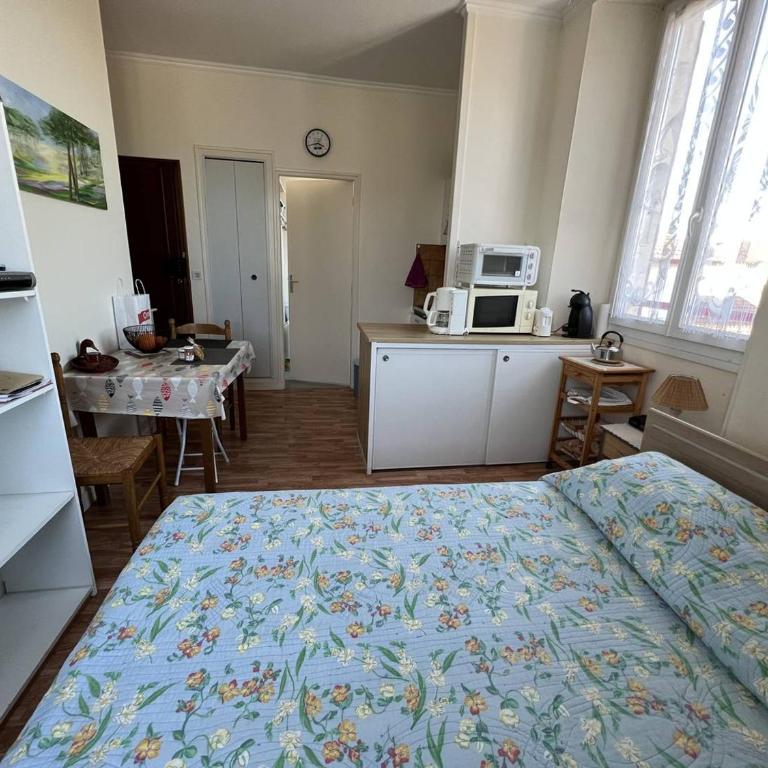 Studio lumineux à Cambo-les-Bains, proche thermes, coin nuit, kitchenette, internet, animaux acceptés - Studio - 5