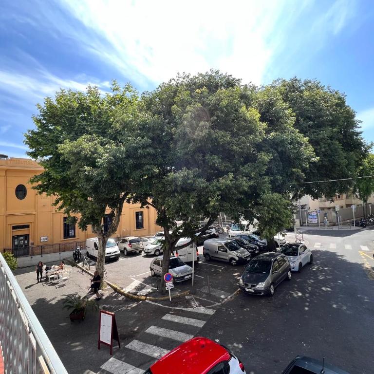 Studio avec mezzanine dans le coeur du vieil Antibes wifi climatisation - Appartement - 6