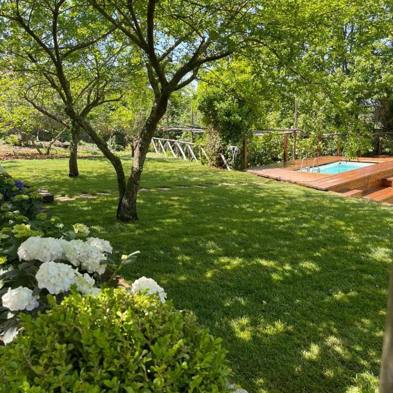 Villa Spartano Sant'Agata sui due Golfi Massalubrense - Villa - 46
