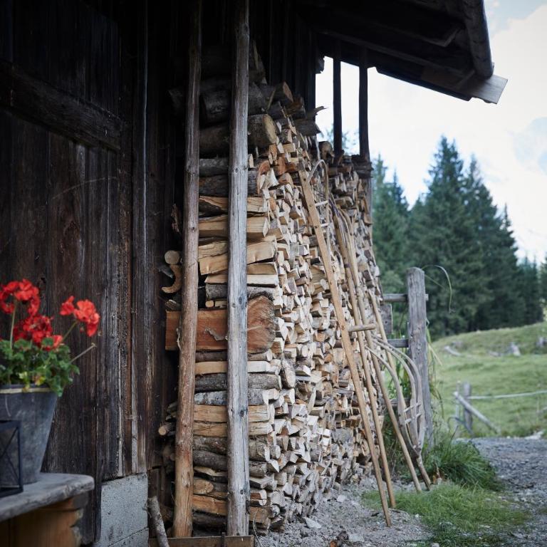 Auhäuslalm - Chalet - 15