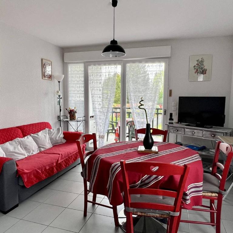 Appartement T2 central avec terrasse, Cambo-les-Bains - Appartement 1 Chambre - 4
