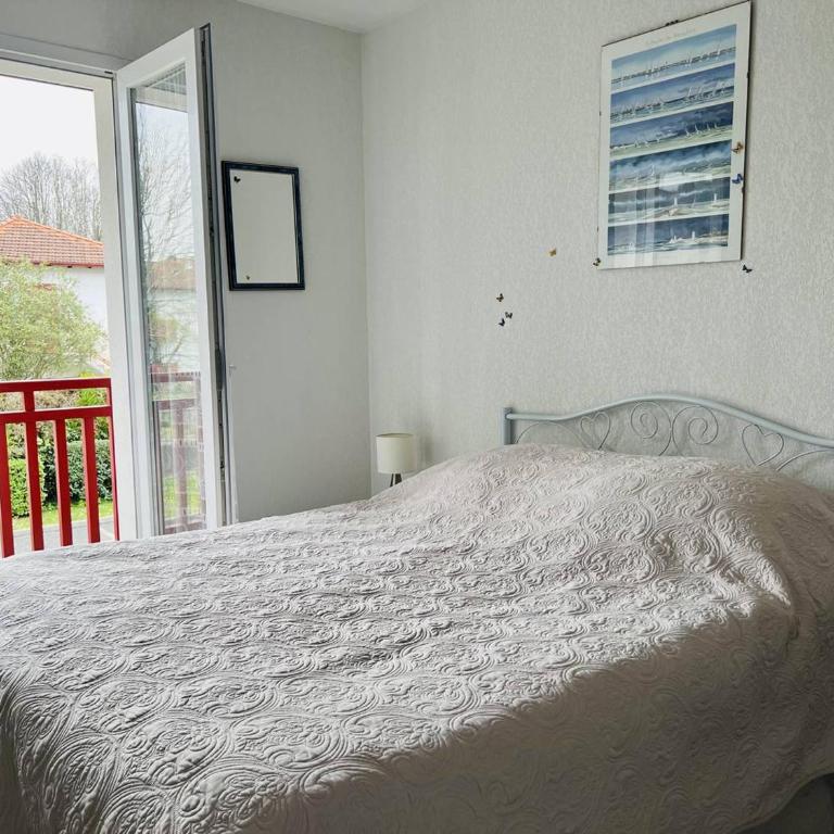 Appartement T2 central avec terrasse, Cambo-les-Bains - Appartement 1 Chambre - 7