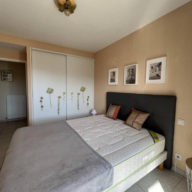 Appartement T2 RDC avec terrasse, parking, et WIFI à Cambo-les-Bains - Appartement 1 Chambre - 10