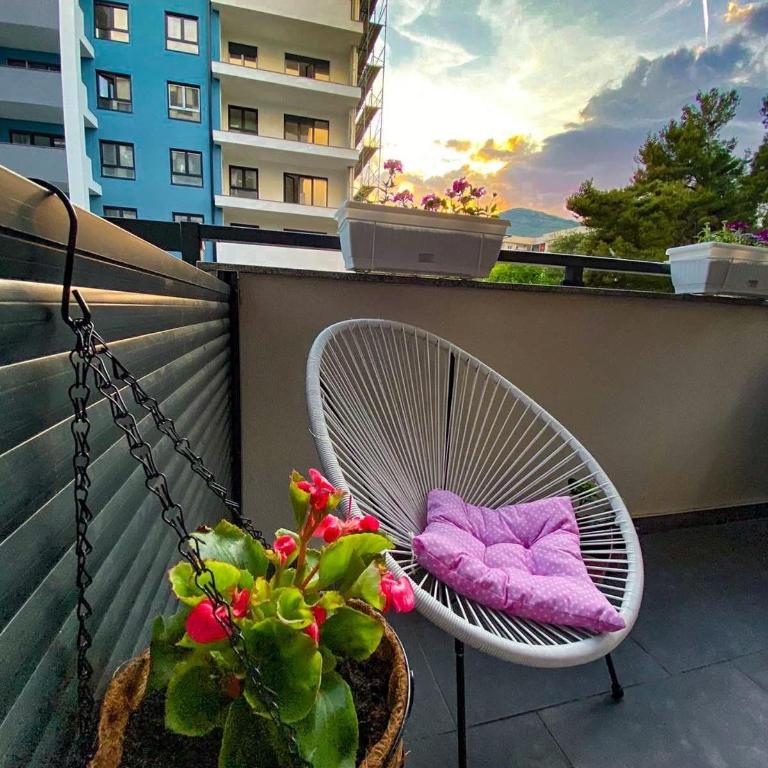 Apartman Barocco - Apartman sa 1 Spavaćom Sobom - 23
