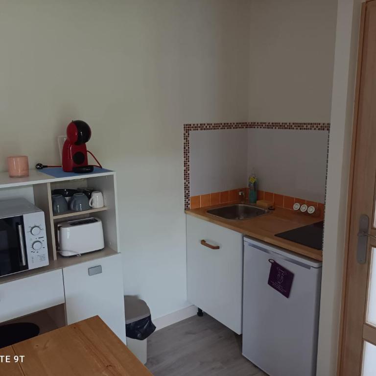 Un paradis de verdure en plein centre ville - Casa con 1 dormitorio - 10