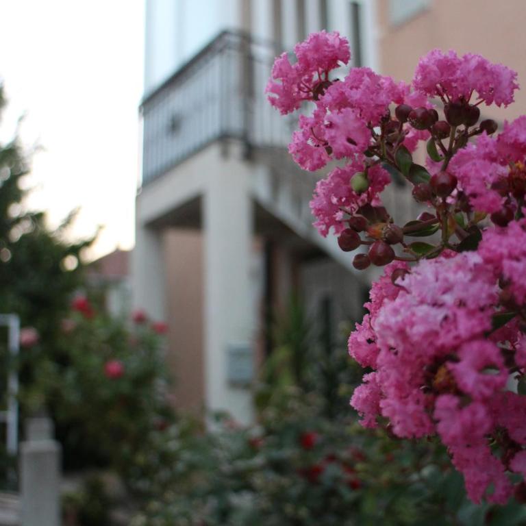 Apartman Anja - Apartman - Prizemlje - 7