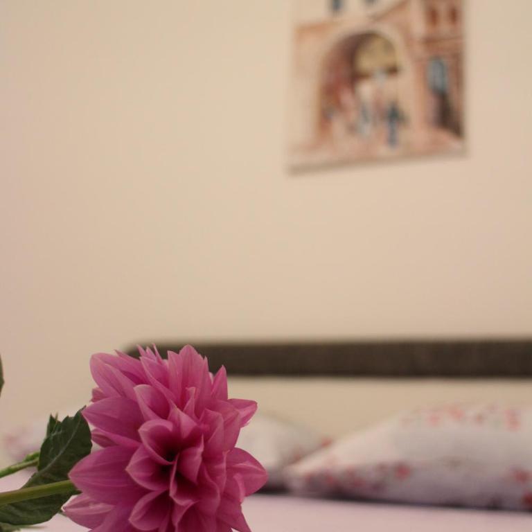 Apartman Anja - Apartman - Prizemlje - 5