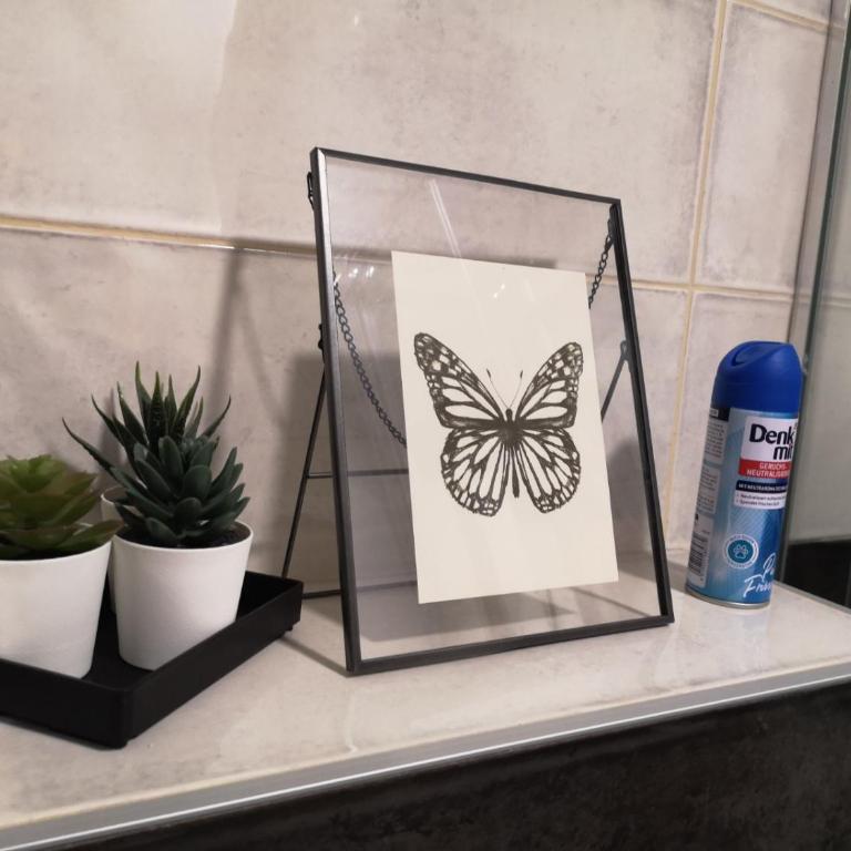 B3 Sneznik-Modern apartment - Deluks Studio - 5