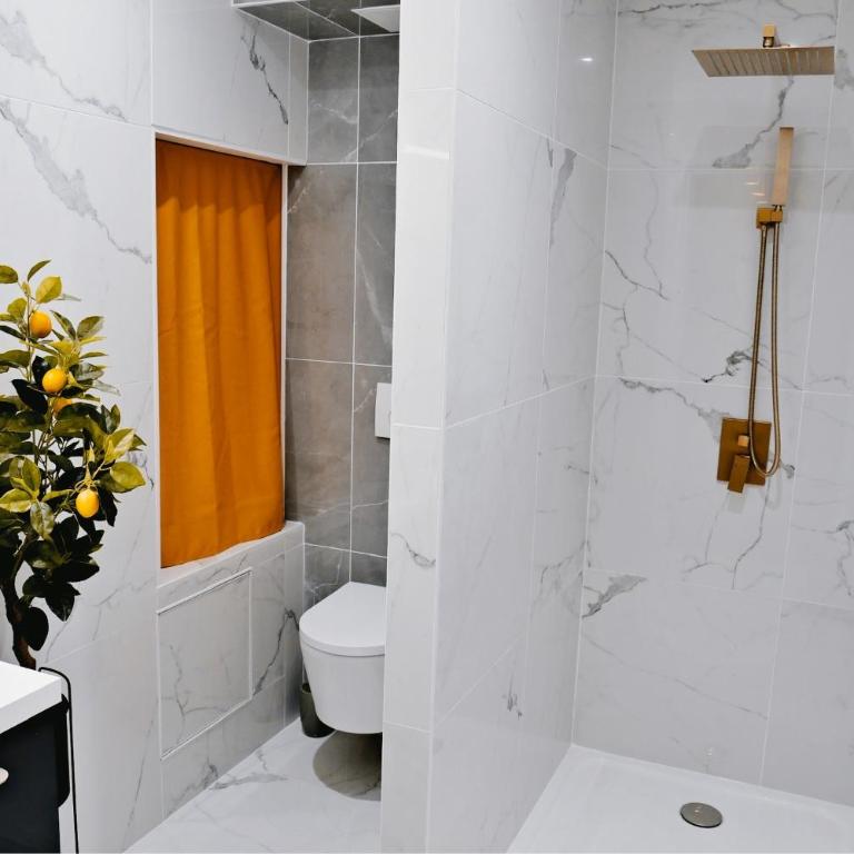 Le Somptueux - A 200m du Passage Pommeraye - Appartement 1 Chambre - 9