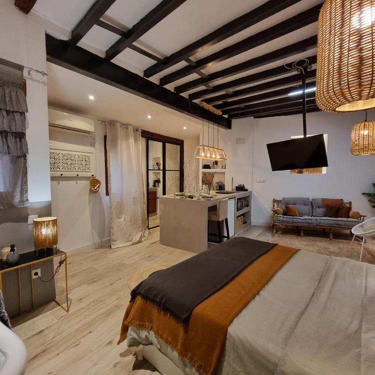 Lofts amantes de Toledo -LOFT SAGRARIO - Apartamento - 6