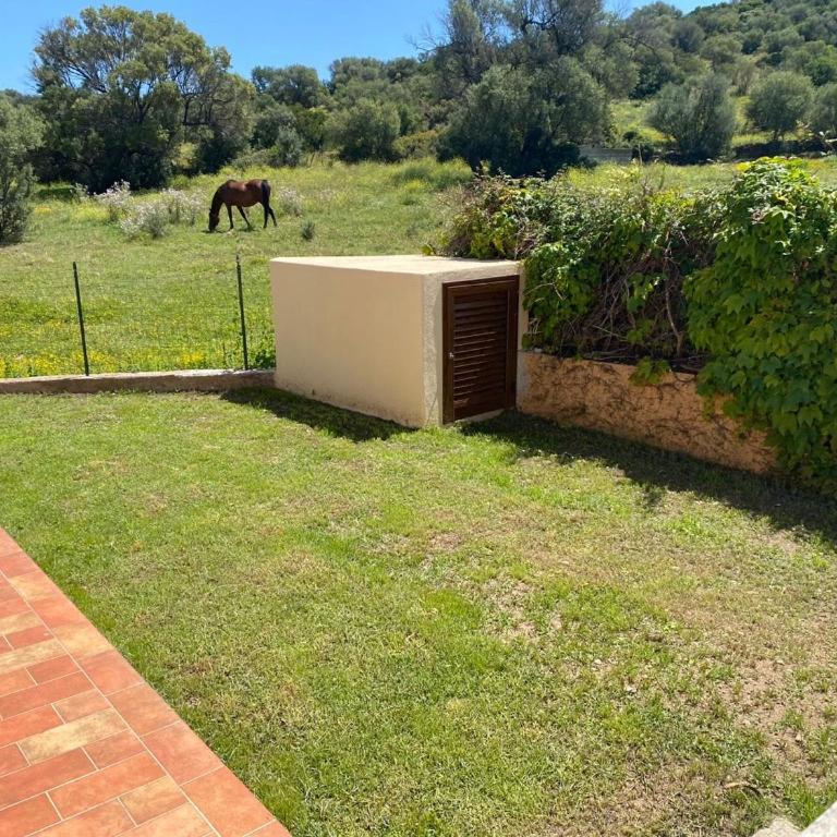 Villino La Funtana - Casa con 2 Camere da Letto - 23
