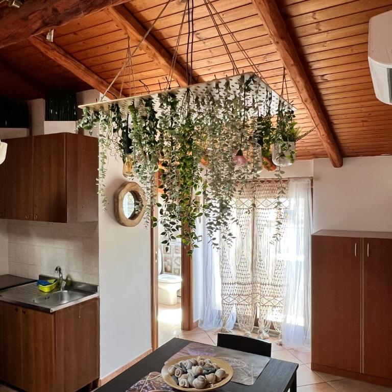 petit palais - Apartment - 6
