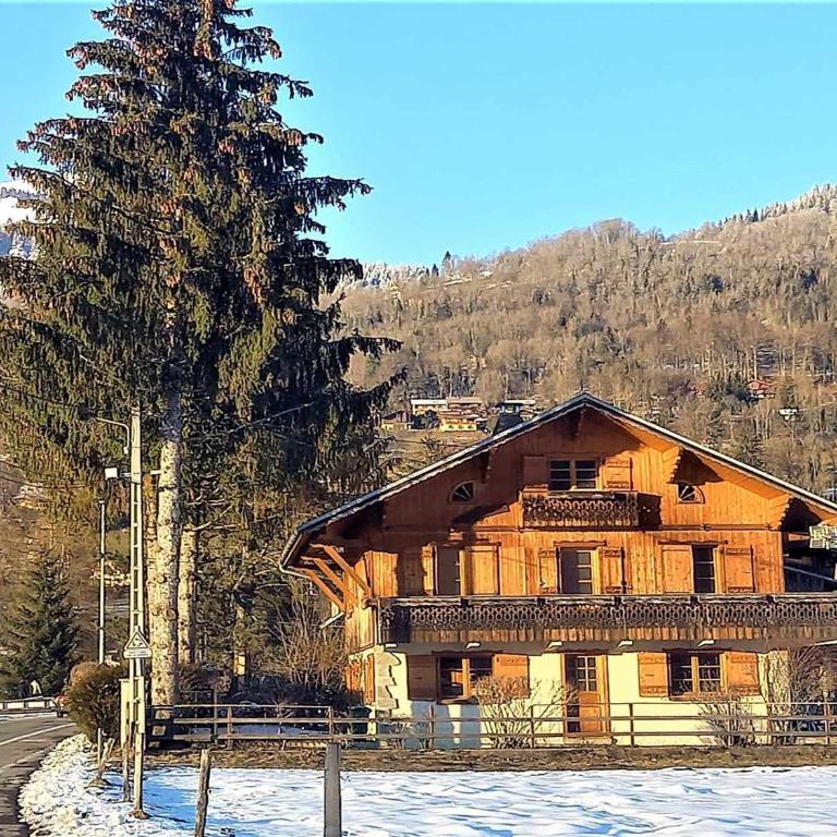Appartement chalet calme, proche centre, animaux acceptés - FR-1-624-45 - Appartement (4 Adultes) - 3