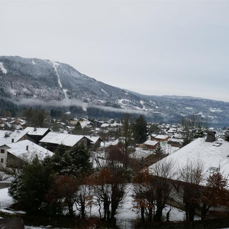 Appartement 3 pièces avec balcon et parking à Samoëns - FR-1-629-52 - Apartment (4 Erwachsene) - 2
