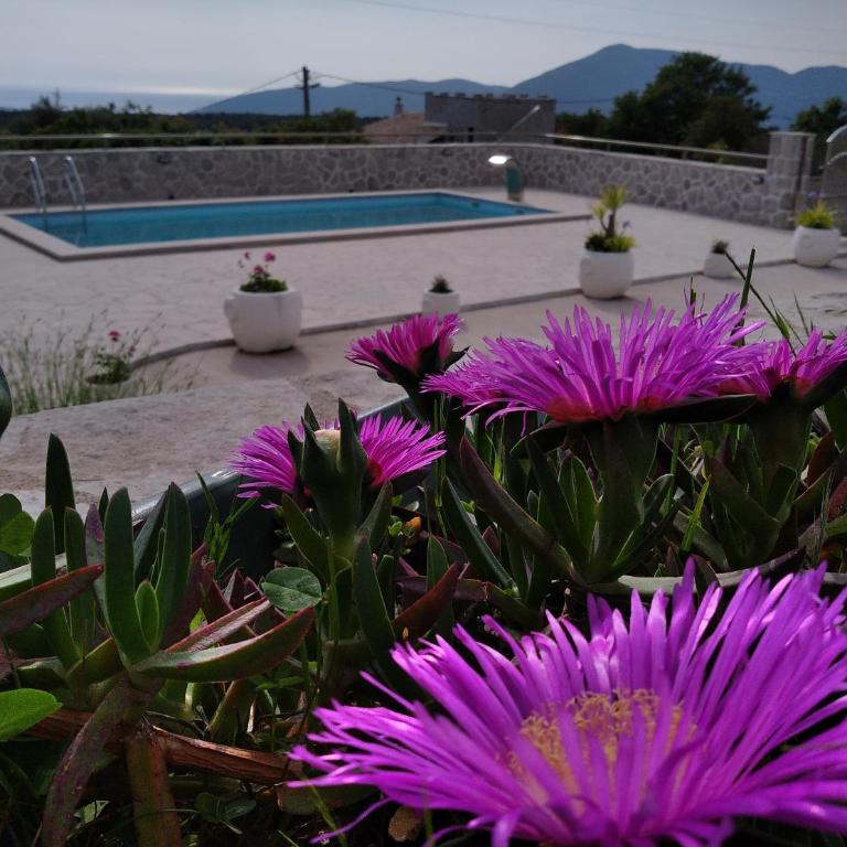Vila Rogač - Vila sa Sopstvenim Bazenom - 40