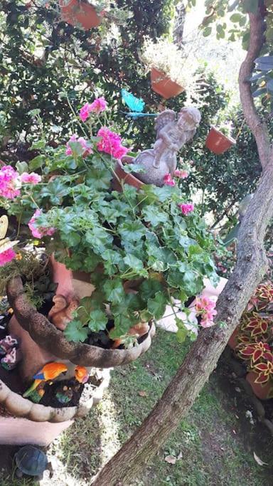 Casa Alice Wi-Fi Giardino Tranquillità Famiglie - Casa con 2 Camere da Letto - 28