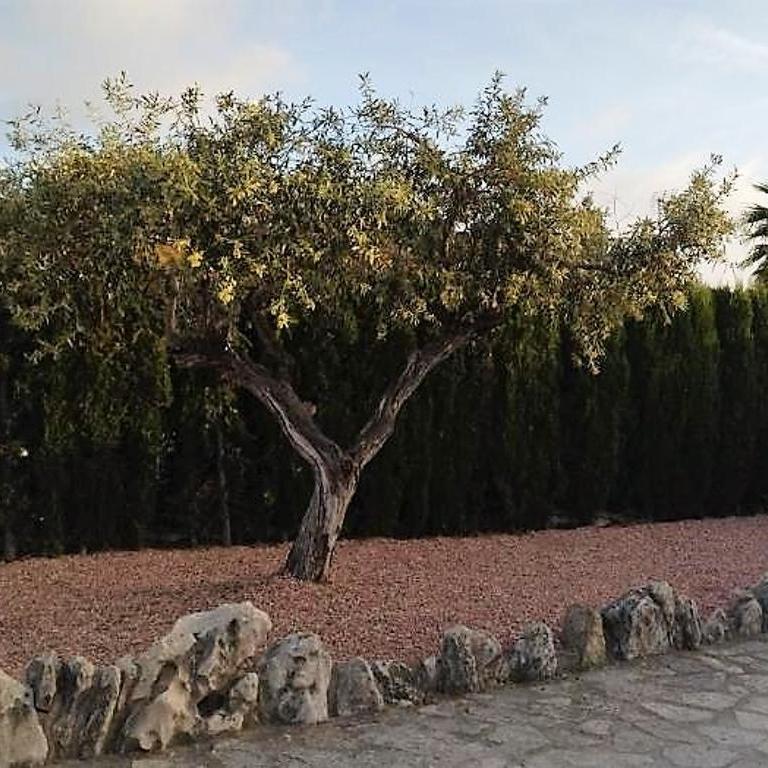 Villa Martí - Villa - 18