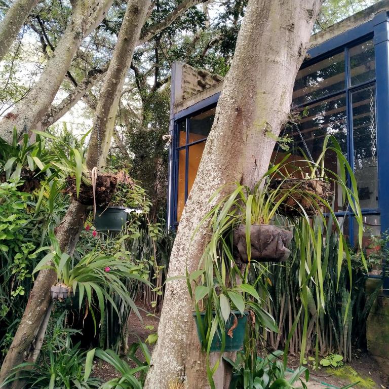 Casa del Aguacate Cumbaya - Tumbaco - Double Room - 42