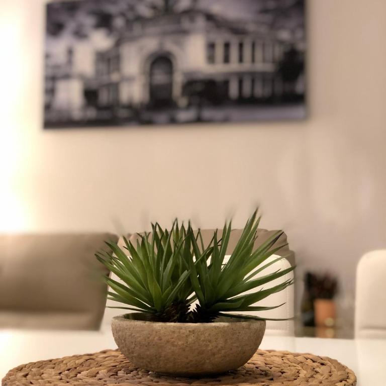 Residence D'azeglio - Vacation Home - 17