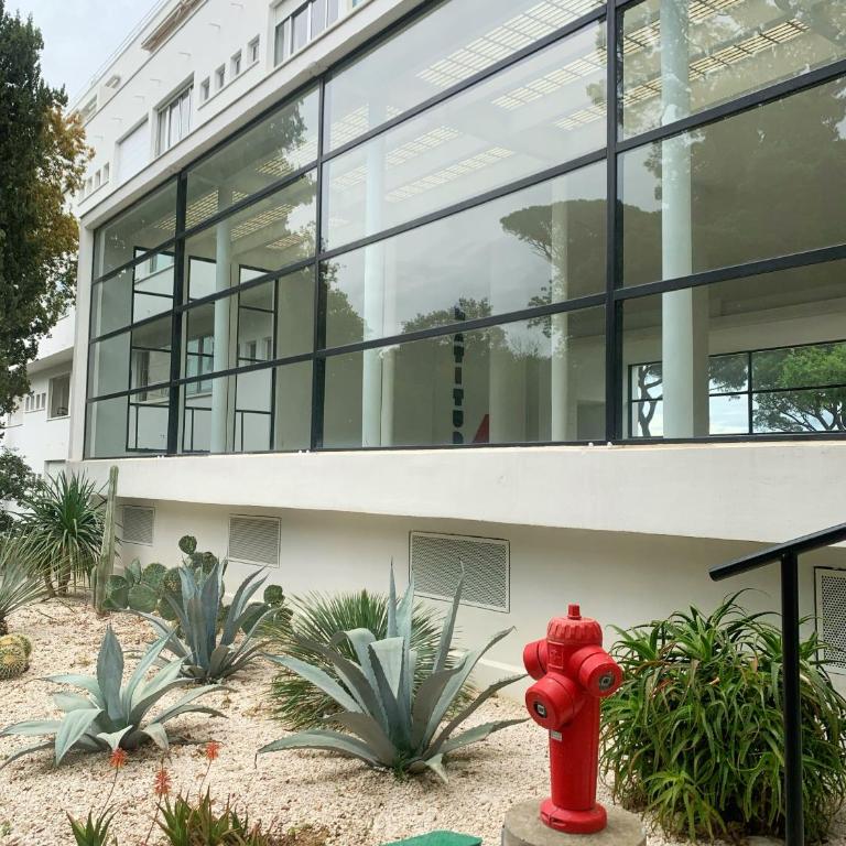 ÉLÉGANT STUDIO et PARKING DANS BATIMENT HISTORIQUE - Superior Studio - 22