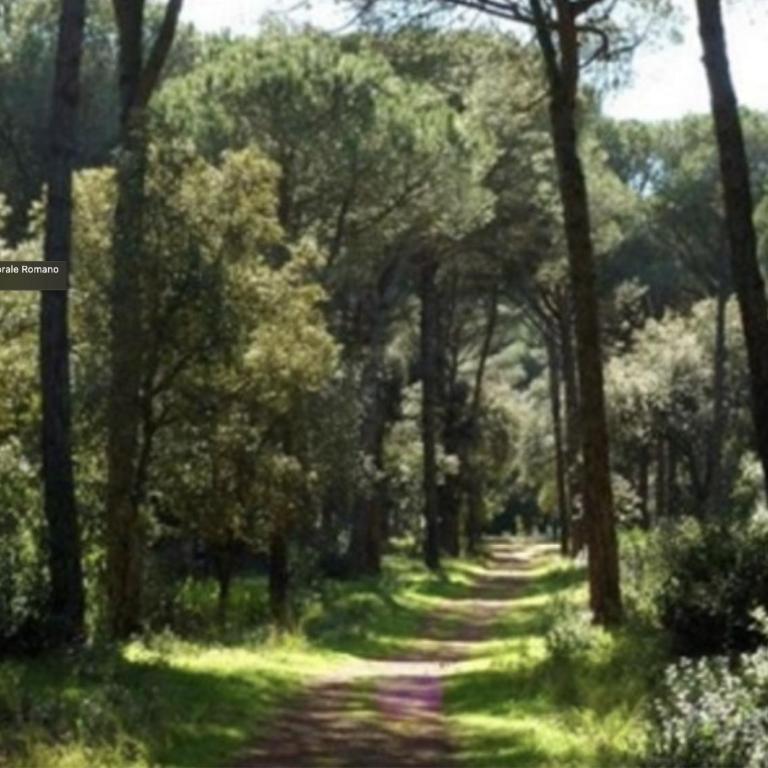 Casa Casella, delizioso bilocale a due passi dal mare - Appartamento con 1 Camera da Letto - 24