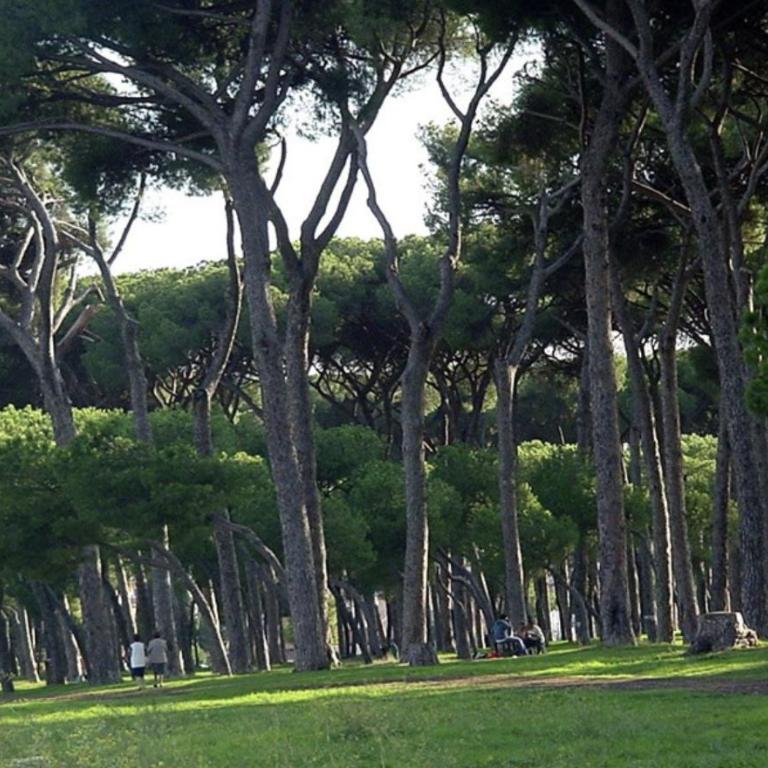Casa Casella, delizioso bilocale a due passi dal mare - Appartamento con 1 Camera da Letto - 25