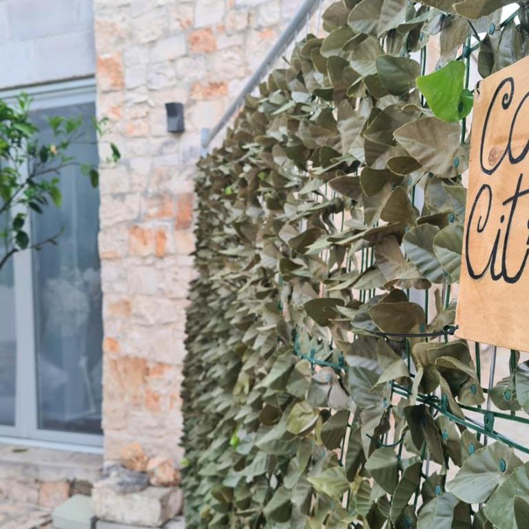 Musa Balbisiana Casa Citrus - Casa con 2 Camere da Letto - 40