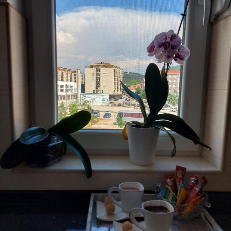DIX Apartments - Apartman sa 1 Spavaćom Sobom - 12
