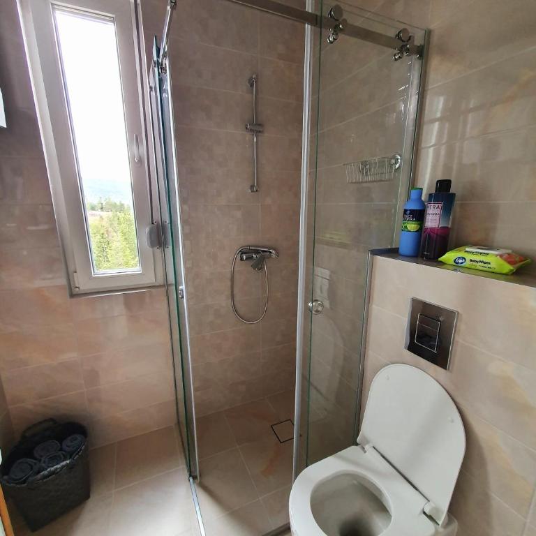 Apartman Staza Divčibare - Apartman sa 1 Spavaćom Sobom - 10
