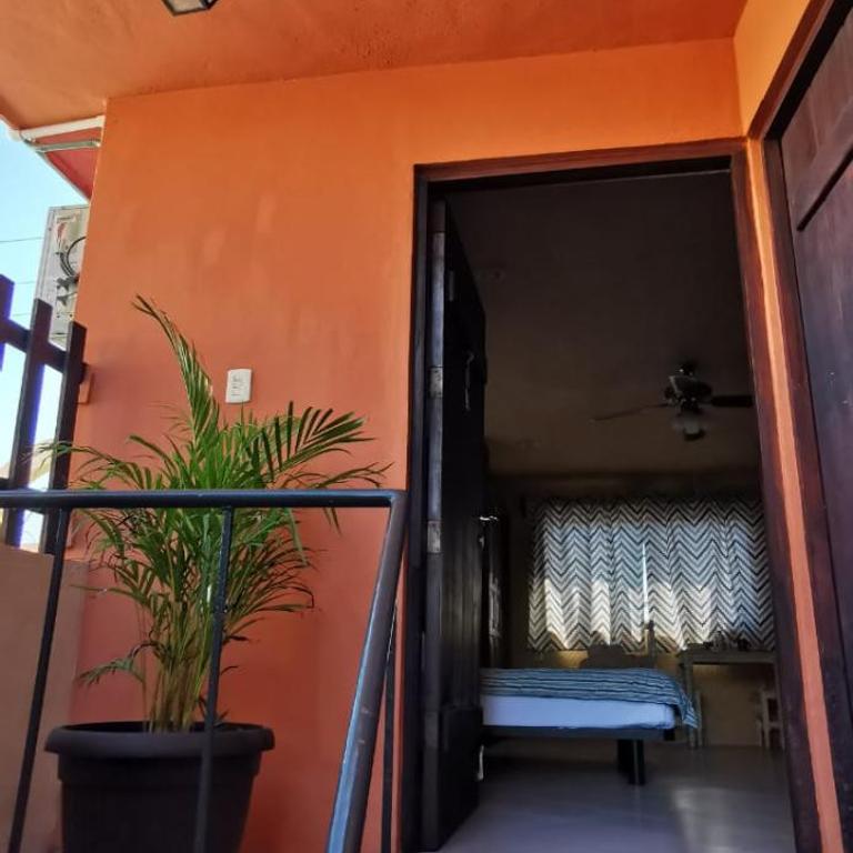 Luhme Tulum Hostel - Free Cenote Access - Litera en habitación compartida - Solo mujeres - 3