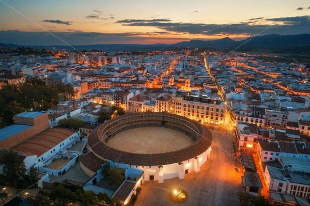 Rual Amanecer - Apartamento de 1 dormitorio - 25