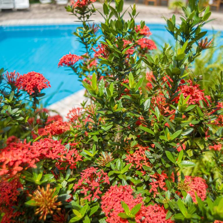 Colina de Montalva - Superior Double Room - 20