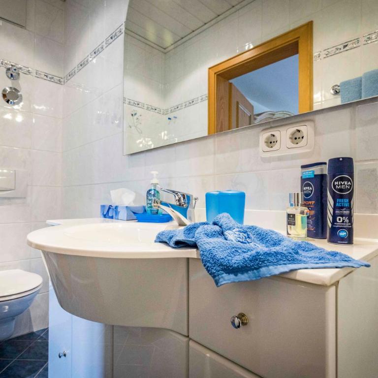 Bognerlehen - Apartment mit Dusche - 9