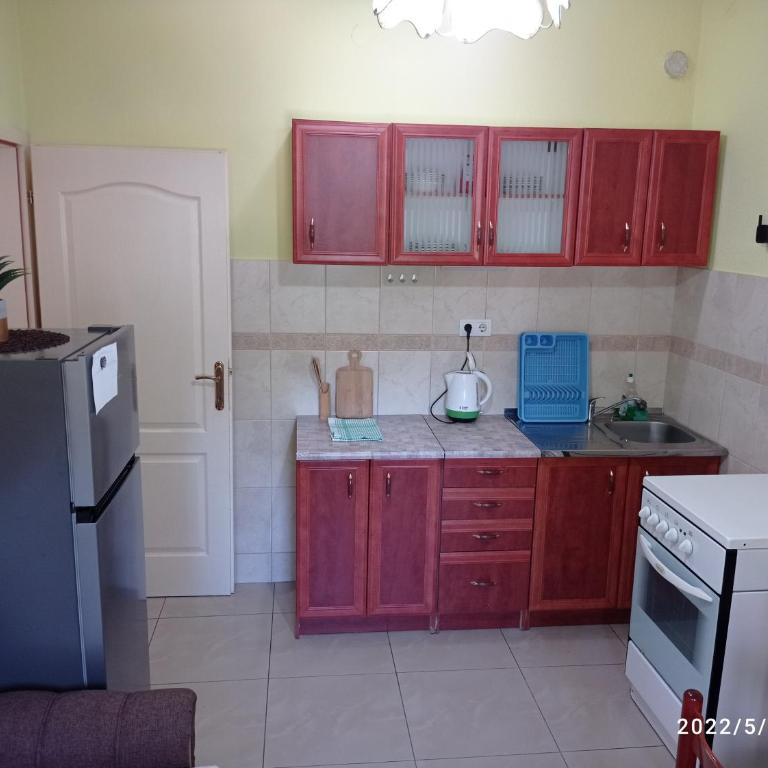 Apartments Dakovic M - One-Bedroom Apartment with Terrace - 8