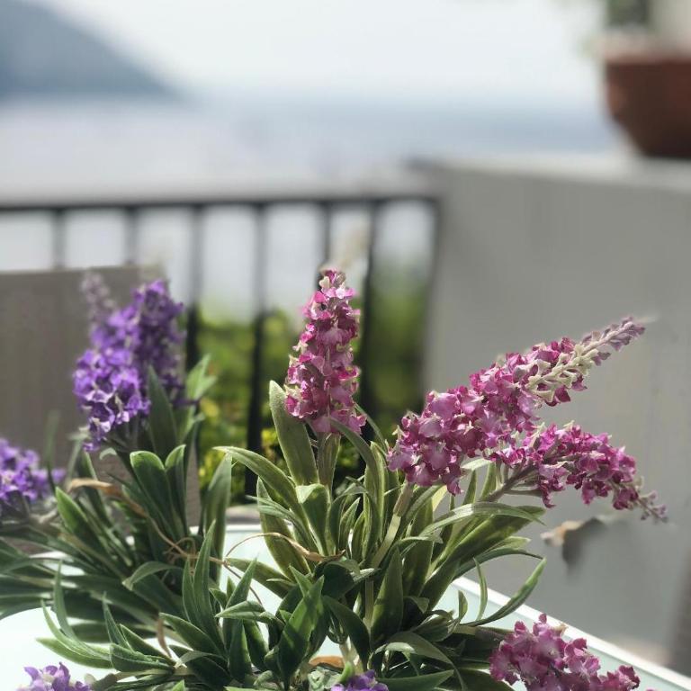 A casa dei Sasso, vista mare mozzafiato! - Appartamento con 3 Camere da Letto - 7