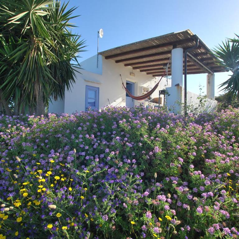 Atollo - Monolocale (2 Adulti) - 4