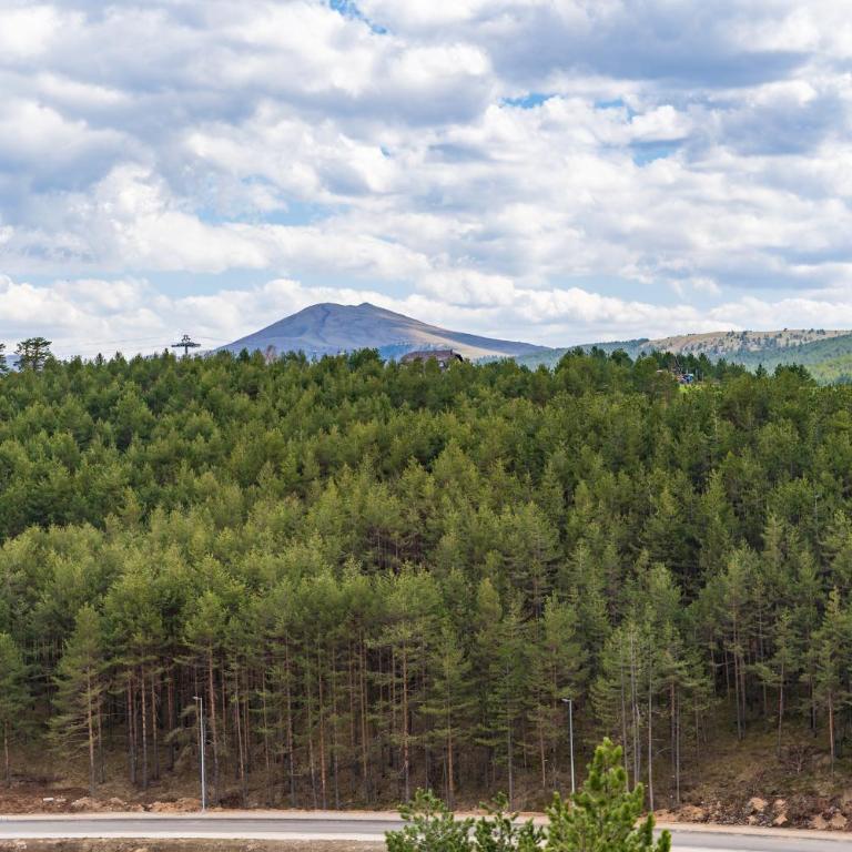 Monix Palace Zlatibor - Apartman sa 1 Spavaćom Sobom - 17
