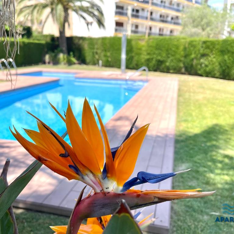 APARTBEACH PANORAMIC VISTAS PLAYA y PISCINA - Apartamento de 2 dormitorios - 10