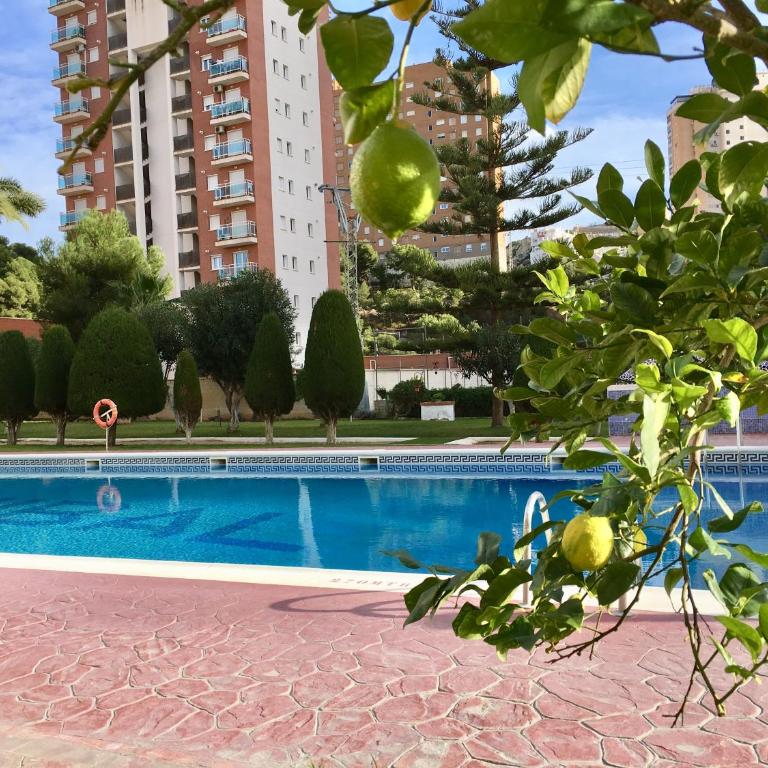 BEACH STUDIO APARTMENT HANNIBAL La Cala FINESTRAT BENIDORM - Studio Apartment - 9