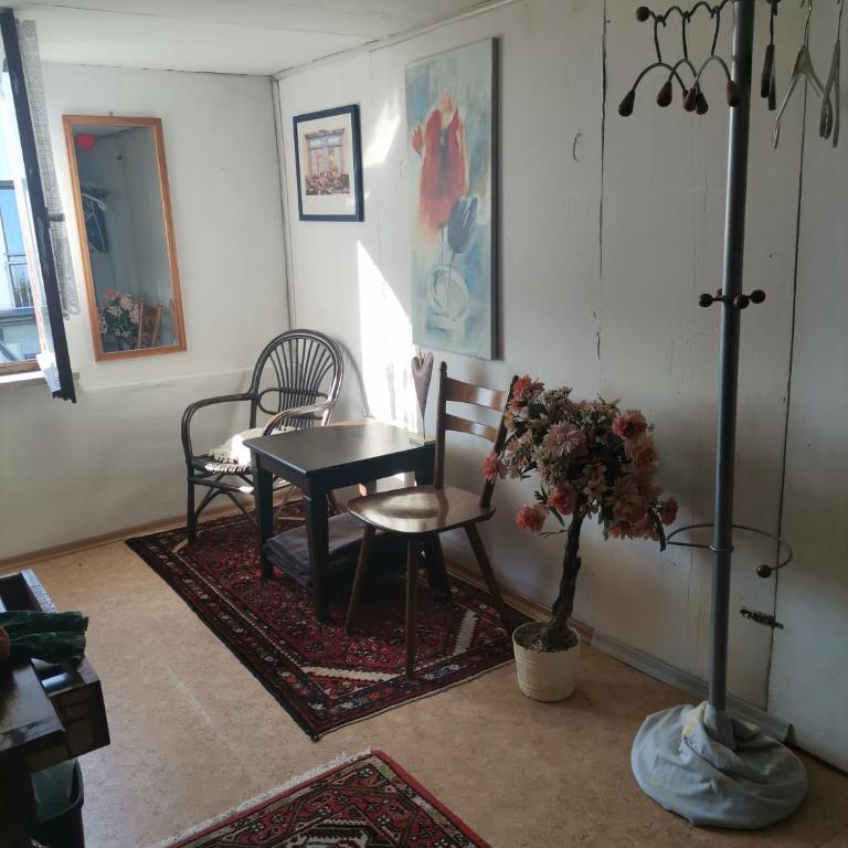GästeZimmer im Altbau Dachgeschoss mit kleinem Bad WLAN, TV und Parkplatz - Apartment mit Dusche - 13