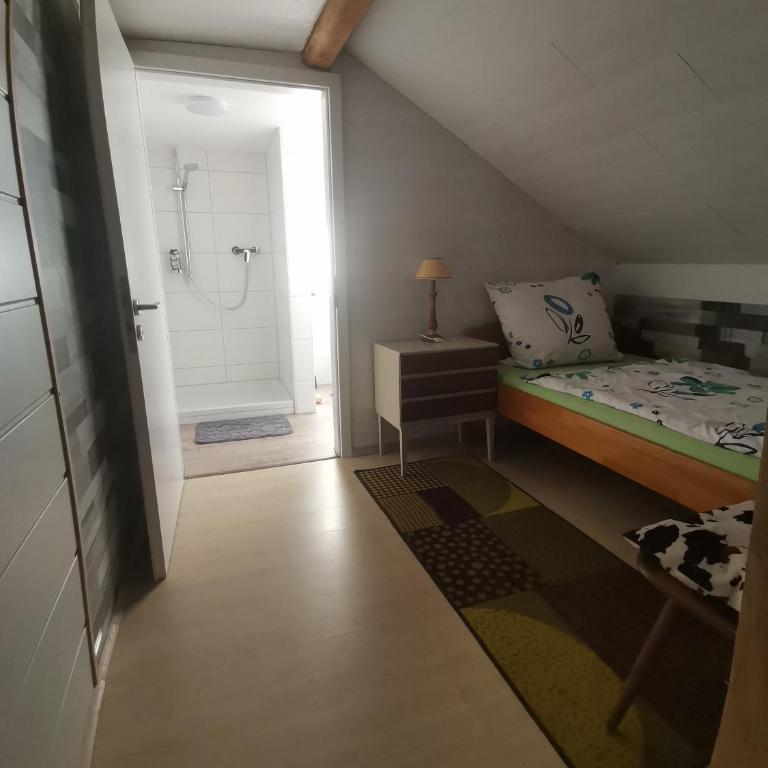 GästeZimmer im Altbau Dachgeschoss mit kleinem Bad WLAN, TV und Parkplatz - Apartment mit Dusche - 17