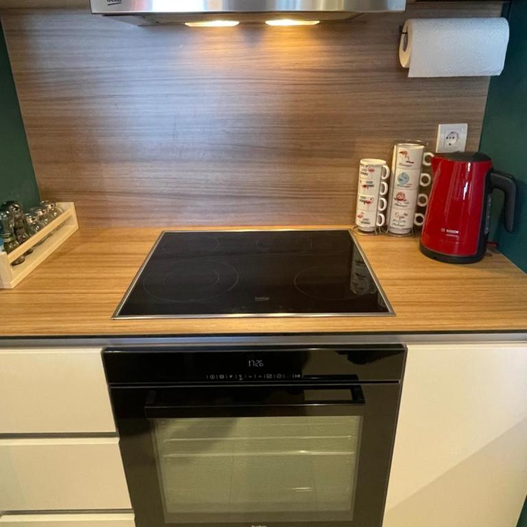 AparTwentyOne - Your Home in Belgrade - Apartman sa 1 Spavaćom Sobom - 7