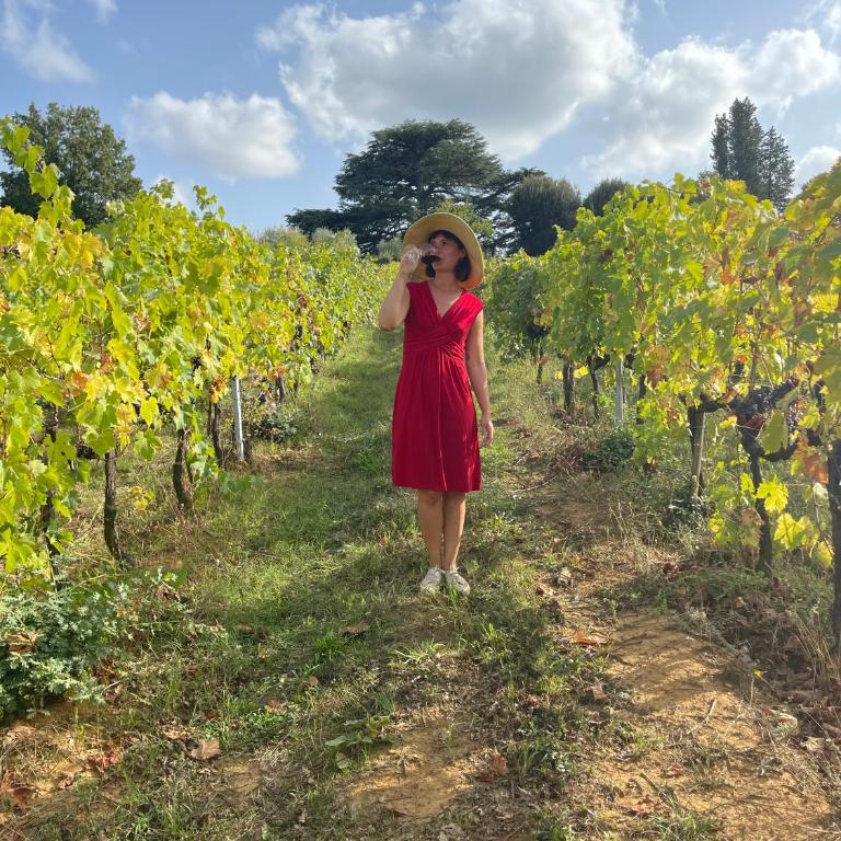 Borgo Villa Certano - Case Vacanza in Toscana - Appartamento con Vista Giardino - 6
