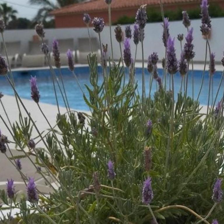 Villa Martí - Villa - 1