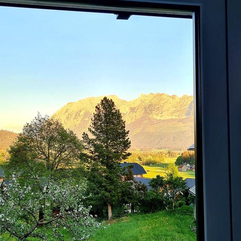 Ferienwohnungen Bergpanorama - Apartment - 1